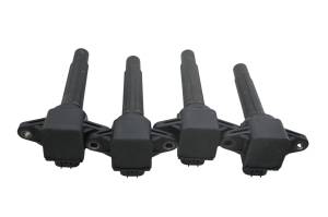 Yamaha - 18 Yamaha Wave Runner FX Limited Ignition Coils - Image 3