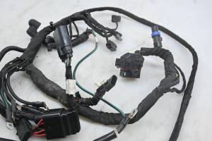 20 Harley-Davidson FXBB Street Bob Main Wire Harness Electrical Wiring - Image 3