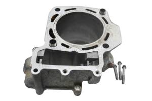 08 Kawasaki Brute Force 750 4x4i Rear Cylinder KVF750