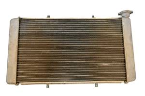 17 Yamaha Wolverine R-Spec EPS Radiator YXE700