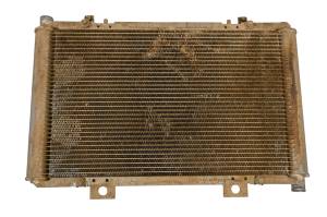 Can-Am - 15 Can-Am Maverick 1000R 4x4 Radiator - Image 1
