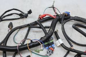 Polaris - 08 Polaris Sportsman 300 4x4 Wire Harness Electrical Wiring - Image 4