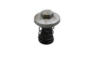 Can-Am - 07 Can-Am DS250 2x4 Oil Filter Cover - Image 3