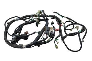 Can-Am - 07 Can-Am DS250 2x4 Wire Harness Electrical Wiring For Parts - Image 1
