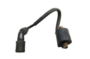 Arctic Cat - 02 Arctic Cat 400 4x4 FIS Ignition Coil - Image 1