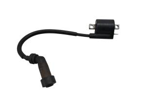 Yamaha - 09 Yamaha Grizzly 125 2x4 Ignition Coil YFM125 - Image 3