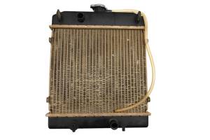 Arctic Cat - 13 Arctic Cat 500 XT 4x4 Radiator - Image 3