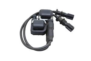 Polaris - 09 Polaris Sportsman 850 XP 4x4 Ignition Coils - Image 2