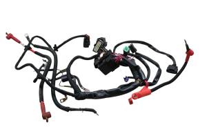 Sea-Doo - 15 Sea-Doo Spark 900 HO ACE 2up Main Wire Harness Electrical Wiring - Image 1