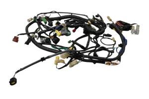 Honda - 05 Honda Rubicon 500 4x4 Wire Harness Electrical Wiring TRX500FA - Image 1